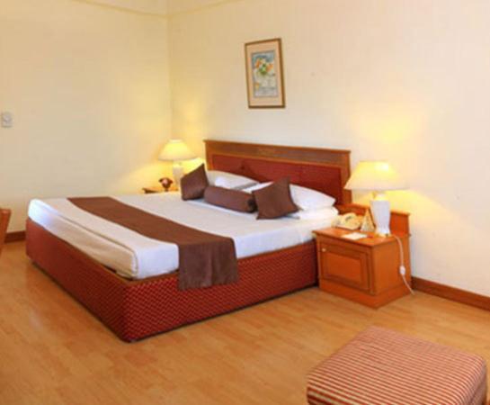Hotel Hridey Inn New Delhi Cameră foto